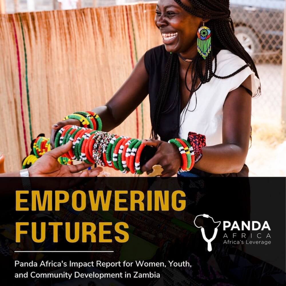 Panda Africa - Africa Equity Group Investments 3