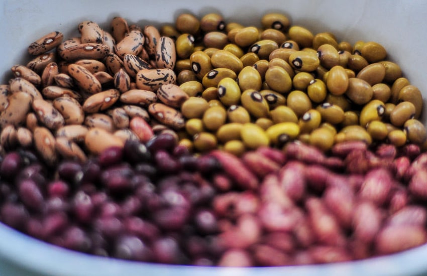 Deal Flow - Agriculture